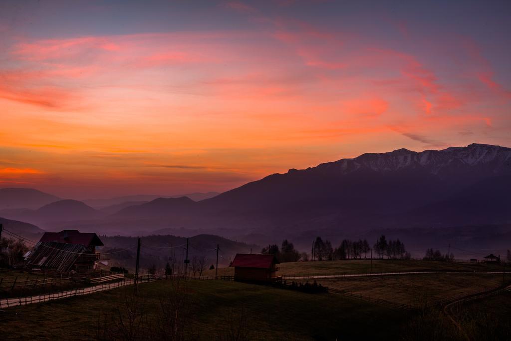 Nobillis - Carpathian Residence Peştera エクステリア 写真