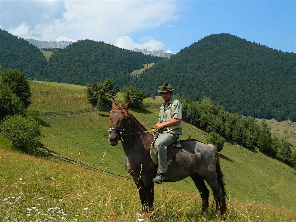 Nobillis - Carpathian Residence Peştera エクステリア 写真