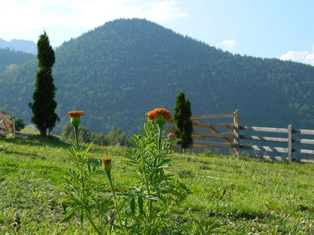 Nobillis - Carpathian Residence Peştera エクステリア 写真