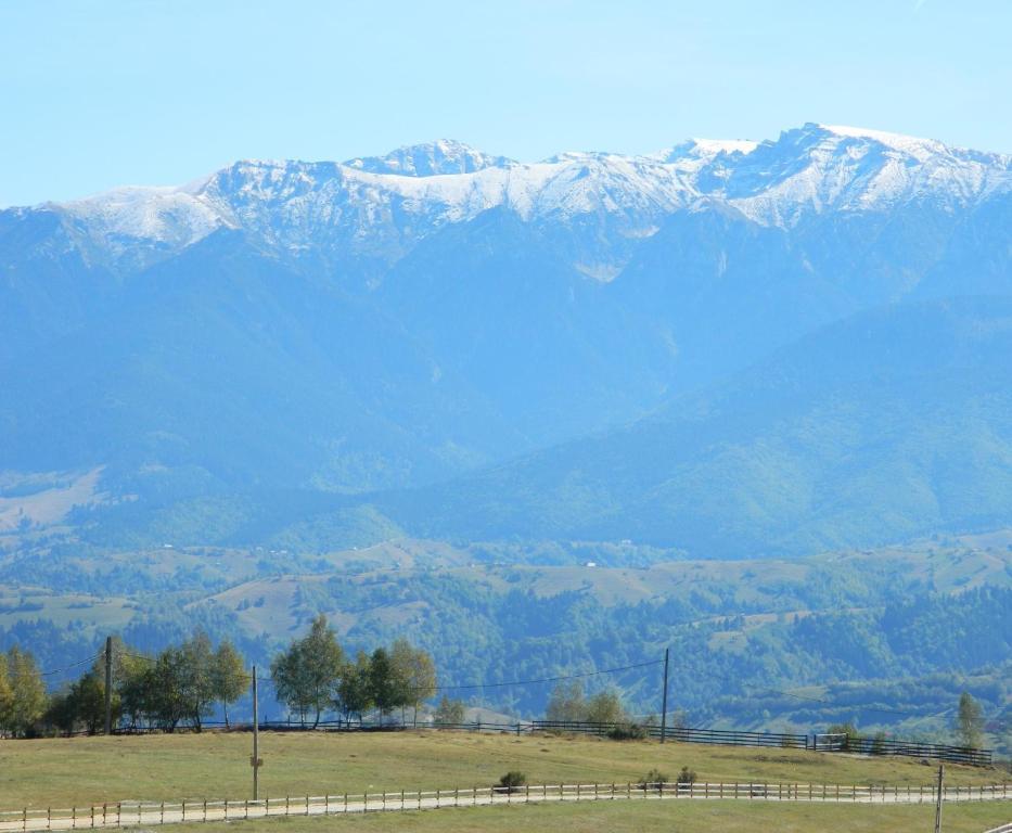Nobillis - Carpathian Residence Peştera エクステリア 写真